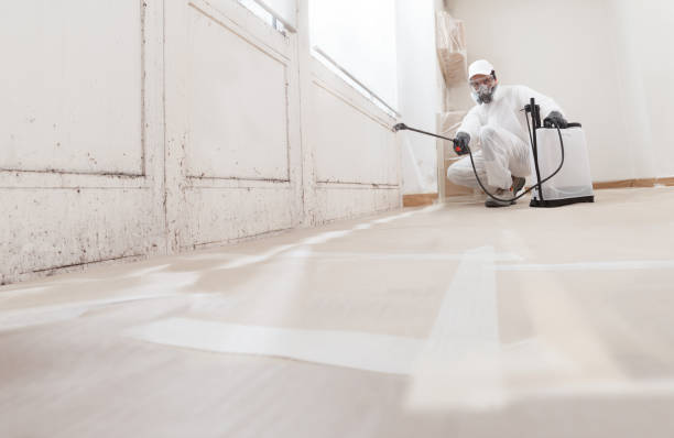 24/7 Emergency Attic Mold Remediation experts in Cape Charles, VA