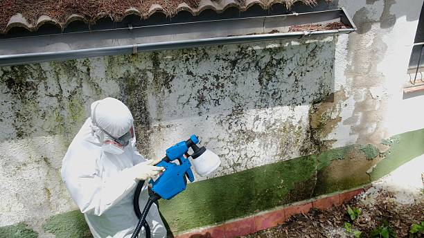 Top rated local Attic Mold Remediation specialists in Cape Charles, VA